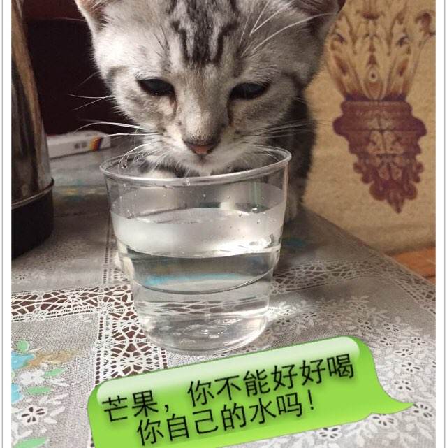 不动产证自助打印机价格